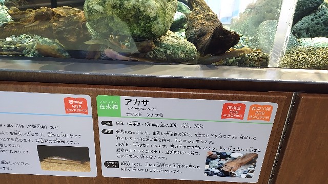 f:id:mori_soba1868:20240606120536j:image
