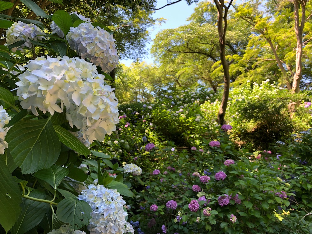 f:id:moribizennokami:20180916132944j:image f:id:moribizennokami:20180916132944j:image