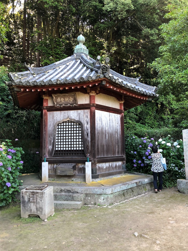 f:id:moribizennokami:20180916141344j:image f:id:moribizennokami:20180916141344j:image