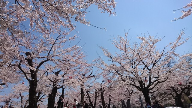f:id:moribu1123:20190429182245j:image