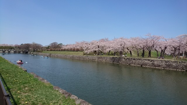 f:id:moribu1123:20190429182259j:image