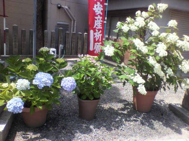 f:id:moricchan24:20180609133138j:plain f:id:moricchan24:20180609133138j:plain