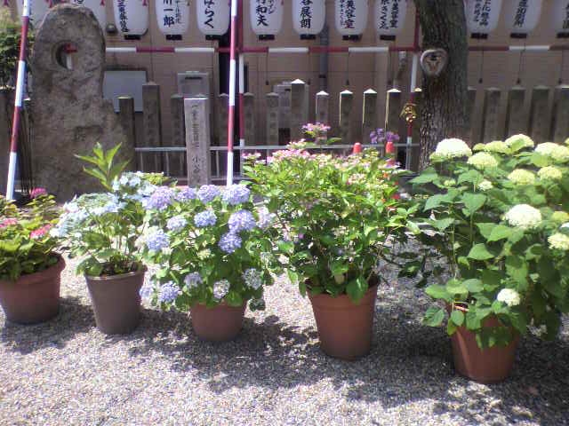 f:id:moricchan24:20180609133147j:plain f:id:moricchan24:20180609133147j:plain