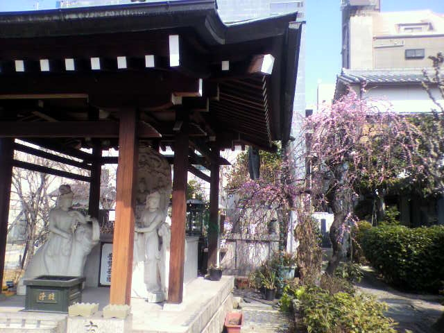 f:id:moricchan24:20190304180611j:plain f:id:moricchan24:20190304180611j:plain