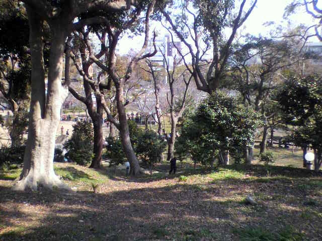 f:id:moricchan24:20190305202916j:plain f:id:moricchan24:20190305202916j:plain