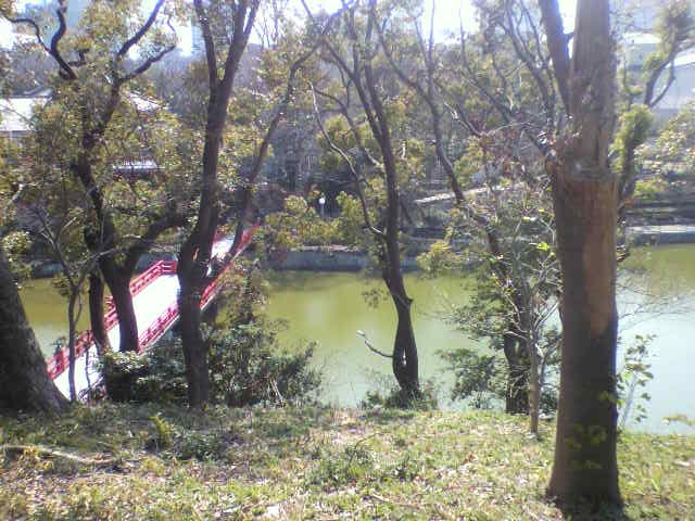 f:id:moricchan24:20190305202928j:plain f:id:moricchan24:20190305202928j:plain