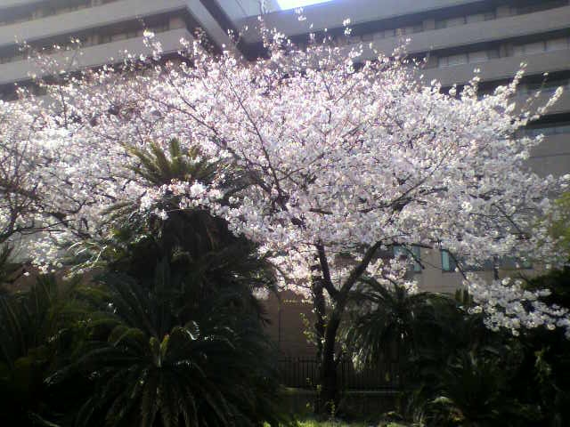 f:id:moricchan24:20190411132013j:plain f:id:moricchan24:20190411132013j:plain