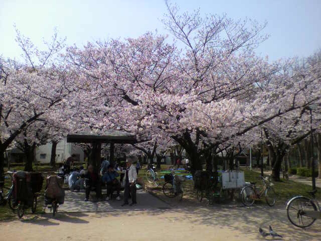 f:id:moricchan24:20190411133217j:plain f:id:moricchan24:20190411133217j:plain
