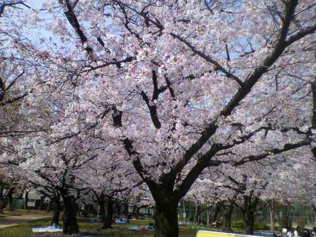 f:id:moricchan24:20190411133231j:plain f:id:moricchan24:20190411133231j:plain