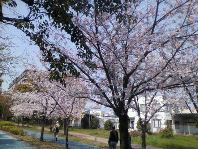 f:id:moricchan24:20190411135828j:plain f:id:moricchan24:20190411135828j:plain