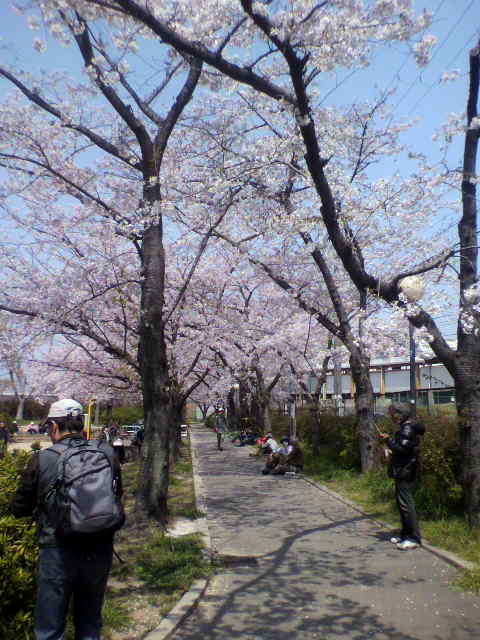 f:id:moricchan24:20190413134355j:plain f:id:moricchan24:20190413134355j:plain