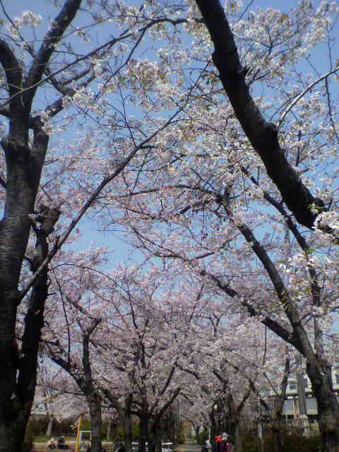 f:id:moricchan24:20190413134417j:plain f:id:moricchan24:20190413134417j:plain