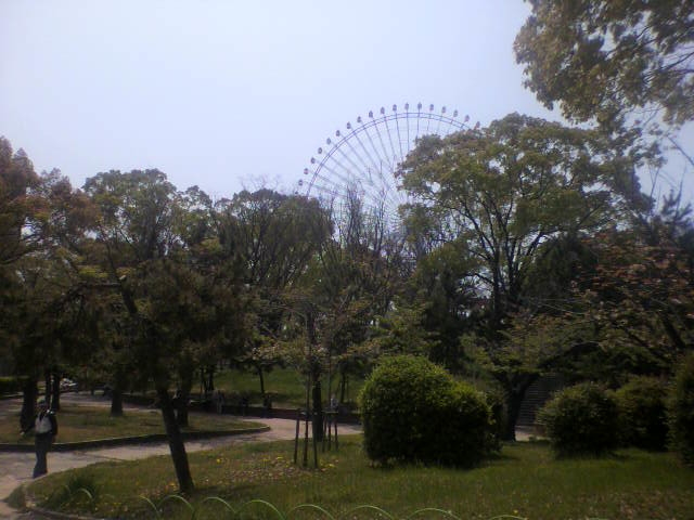 f:id:moricchan24:20190526160504j:plain f:id:moricchan24:20190526160504j:plain