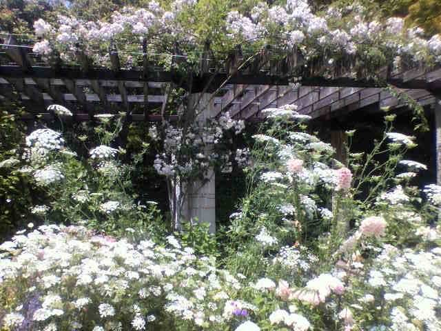 f:id:moricchan24:20190601191353j:plain f:id:moricchan24:20190601191353j:plain