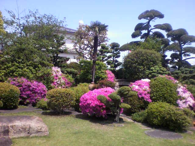 f:id:moricchan24:20191113194317j:plain f:id:moricchan24:20191113194317j:plain