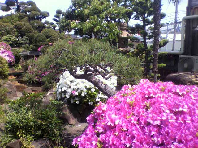 f:id:moricchan24:20191113194330j:plain f:id:moricchan24:20191113194330j:plain