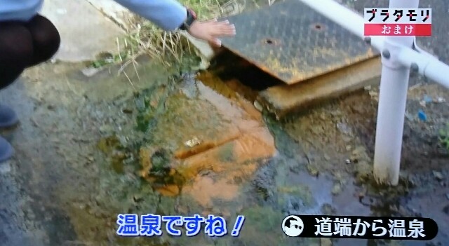 f:id:morifumikirikita319:20170212122558j:image f:id:morifumikirikita319:20170212122558j:image