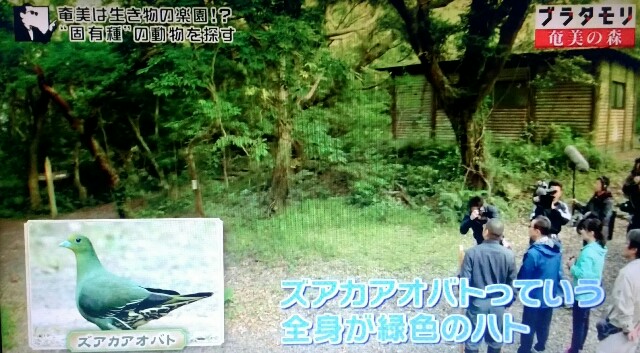 f:id:morifumikirikita319:20170325230821j:image f:id:morifumikirikita319:20170325230821j:image