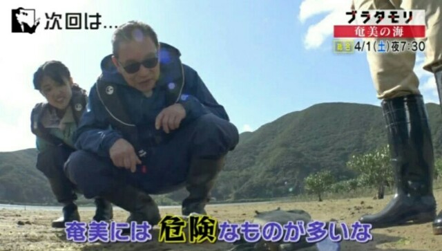 f:id:morifumikirikita319:20170326005543j:image f:id:morifumikirikita319:20170326005543j:image
