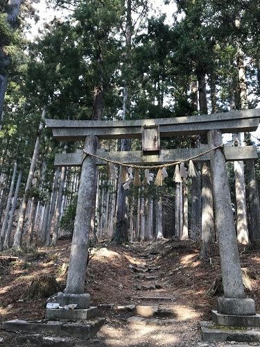 f:id:morigadaisuki:20190223211431j:plain f:id:morigadaisuki:20190223211431j:plain