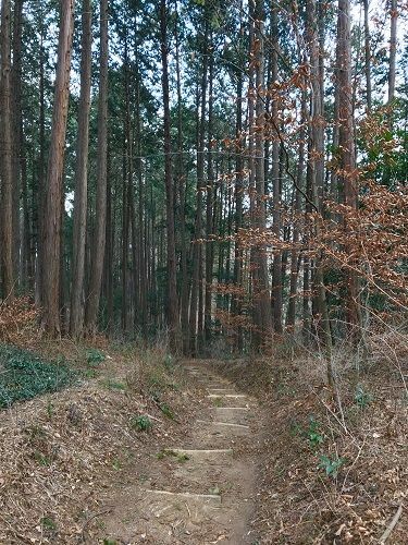 f:id:morigadaisuki:20190303165030j:plain