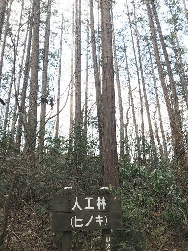 f:id:morigadaisuki:20190303165044j:plain