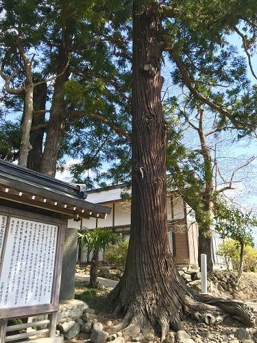 f:id:morigadaisuki:20190317163045j:plain f:id:morigadaisuki:20190317163045j:plain