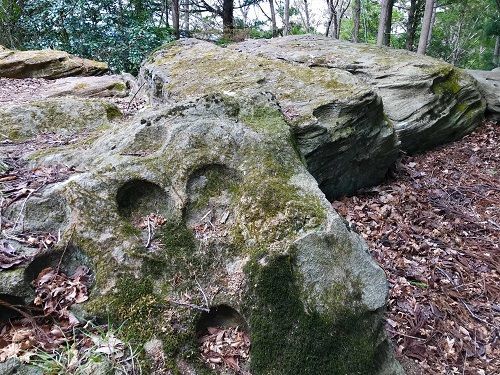 アカガシと亀石の鹿島天足別神社 大亀山森林公園 宮城県富谷市 素晴らしき日々 みんな仲良し