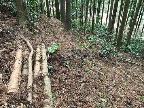 f:id:morigadaisuki:20190409212352j:plain