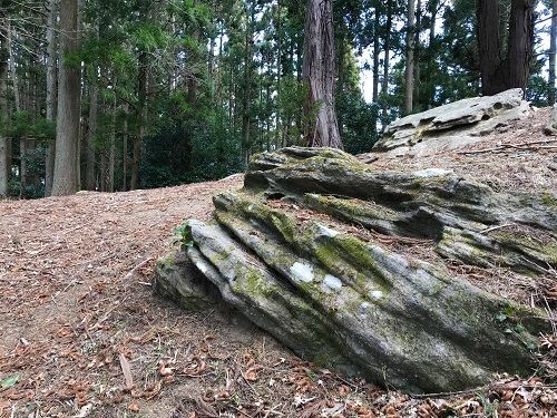 f:id:morigadaisuki:20190409212743j:plain