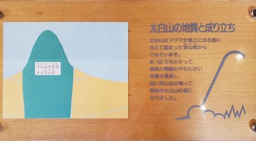 f:id:morigadaisuki:20190504092023j:plain