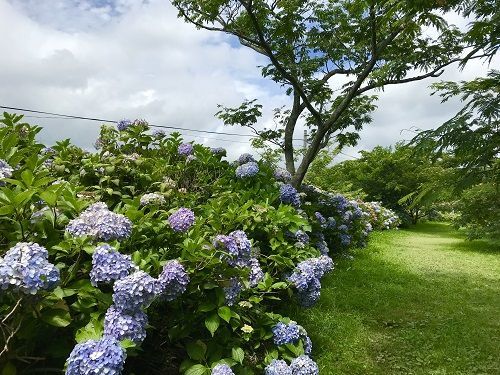 f:id:morigadaisuki:20190802224915j:plain