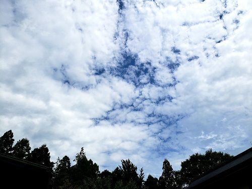 f:id:morigadaisuki:20190830215324j:plain f:id:morigadaisuki:20190830215324j:plain