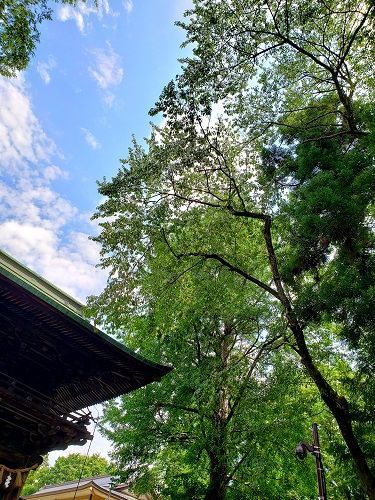 f:id:morigadaisuki:20190830215343j:plain f:id:morigadaisuki:20190830215343j:plain