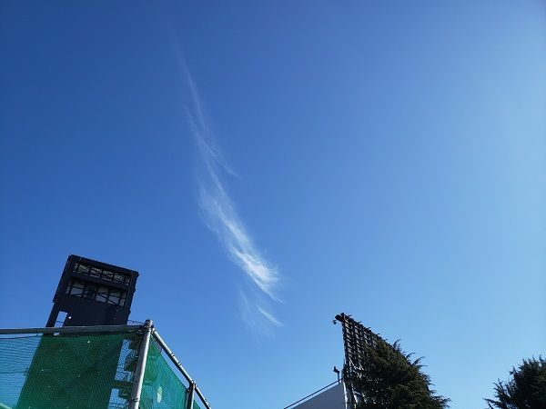 f:id:morigadaisuki:20200212213114j:plain f:id:morigadaisuki:20200212213114j:plain
