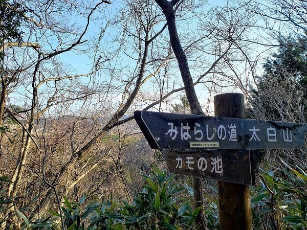 f:id:morigadaisuki:20200315202333j:plain f:id:morigadaisuki:20200315202333j:plain