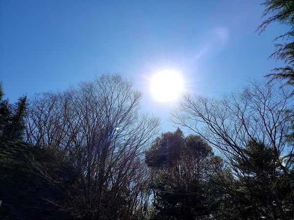 f:id:morigadaisuki:20200319211503j:plain
