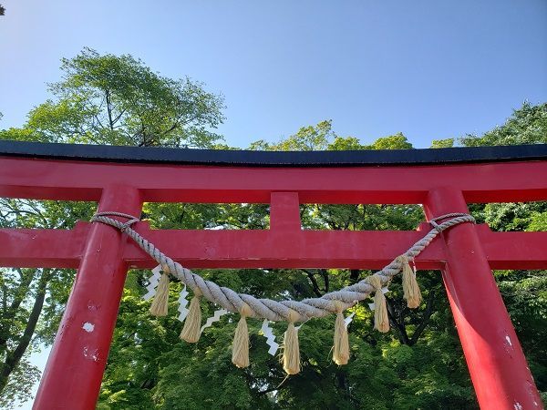f:id:morigadaisuki:20200622205316j:plain