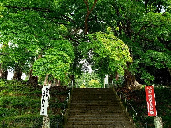 f:id:morigadaisuki:20200625214118j:plain