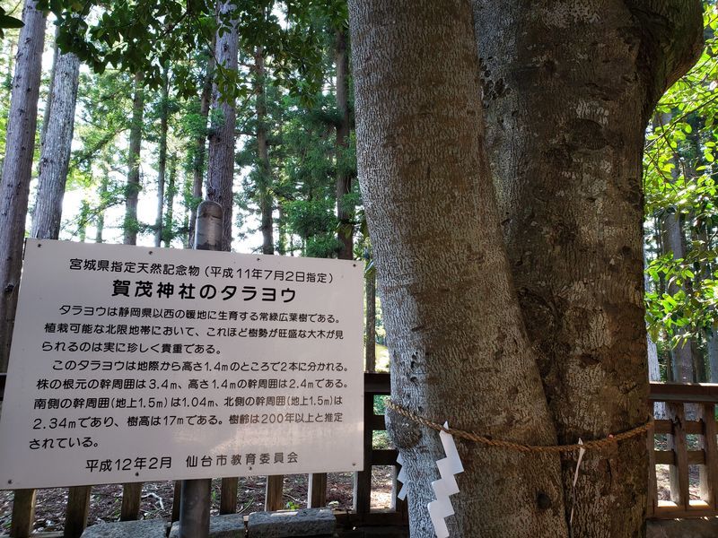 f:id:morigadaisuki:20200625214508j:plain