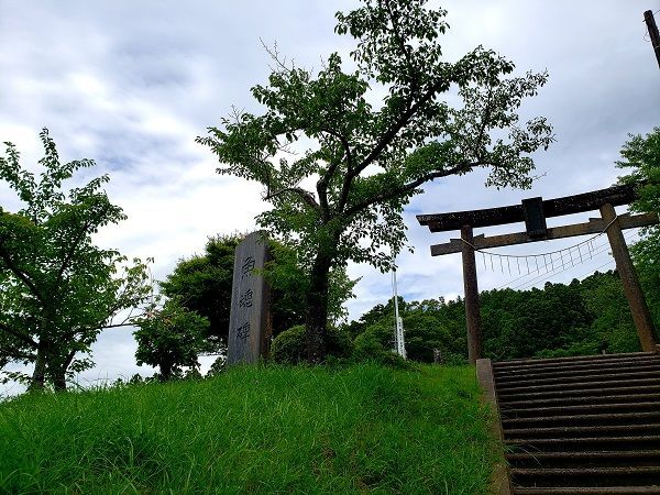 f:id:morigadaisuki:20200721212200j:plain