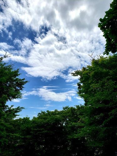 f:id:morigadaisuki:20200721212202j:plain f:id:morigadaisuki:20200721212202j:plain