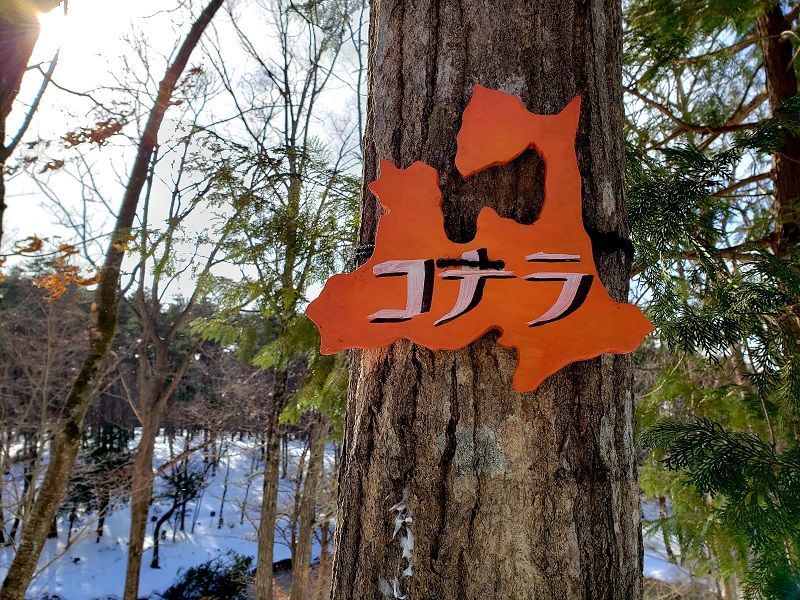 f:id:morigadaisuki:20210131204910j:plain