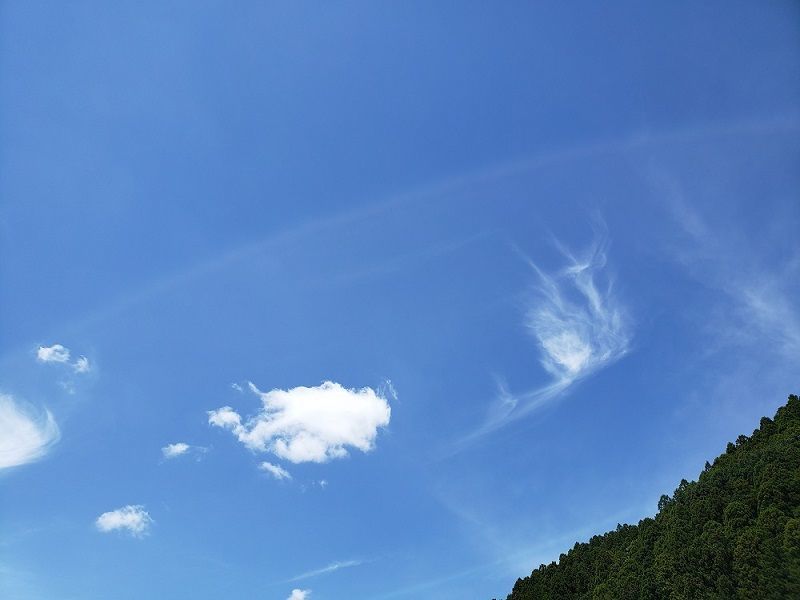 f:id:morigadaisuki:20210520195624j:plain