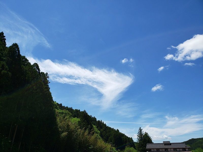 f:id:morigadaisuki:20210520195627j:plain