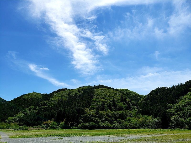 f:id:morigadaisuki:20210520200942j:plain