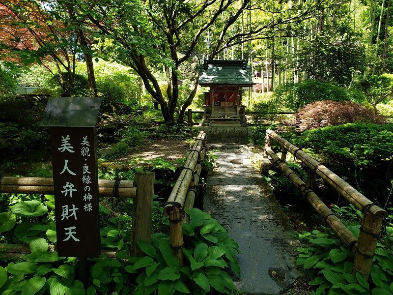 f:id:morigadaisuki:20210605193413j:plain