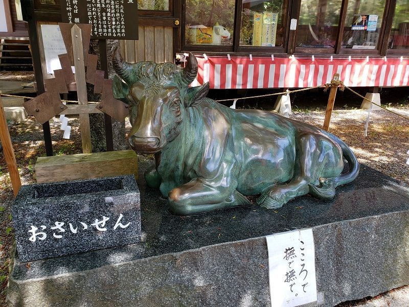 f:id:morigadaisuki:20210605203019j:plain