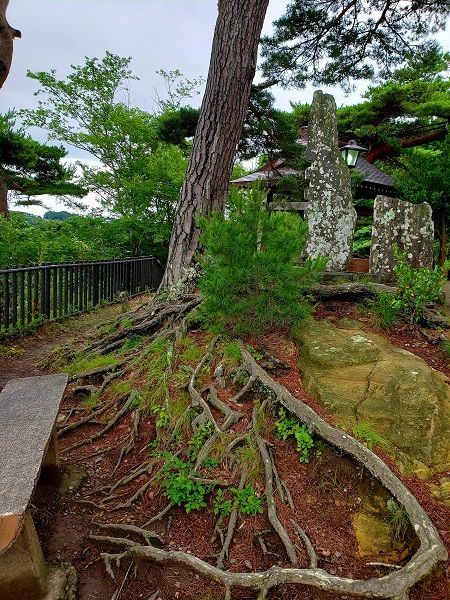 f:id:morigadaisuki:20210710162146j:plain