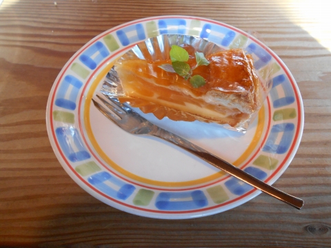 東武スカイツリーラインの北越谷駅を最寄駅とする埼玉県越谷市東大沢3丁目にあるイタリアンのカナディアンロッキーCANADIANROCKYのアップルパイ